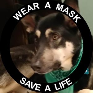 Meet your Posher, Teresa